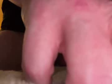 Theeslyfox